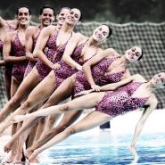 Coacheando Equipos®